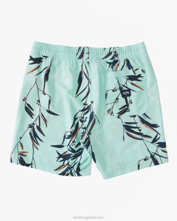 pühapäevased 17'' lauapüksid mehed piparmünt D28T186 Billabong