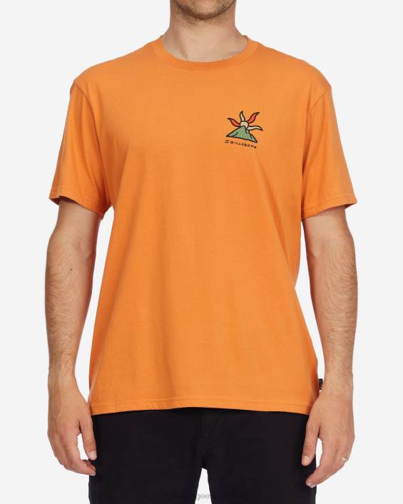 a/div shine orgaaniline lühikeste varrukatega T-särk mehed aprikoos D28T519 Billabong