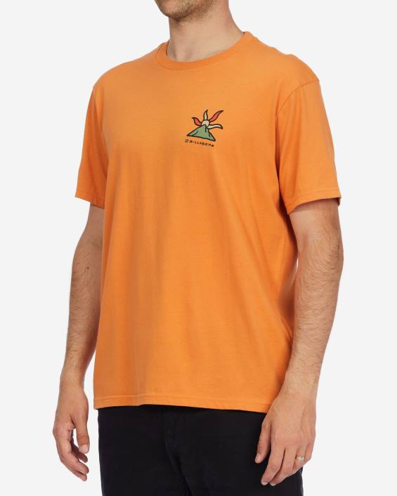 a/div shine orgaaniline lühikeste varrukatega T-särk mehed aprikoos D28T519 Billabong