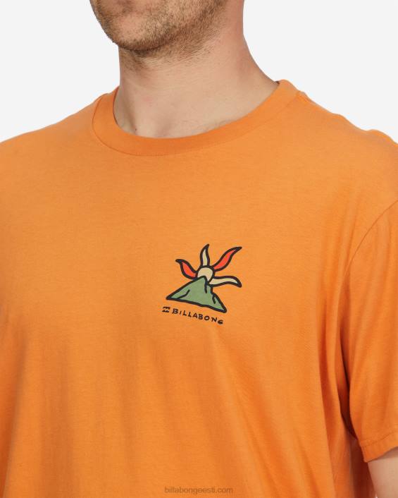 a/div shine orgaaniline lühikeste varrukatega T-särk mehed aprikoos D28T519 Billabong