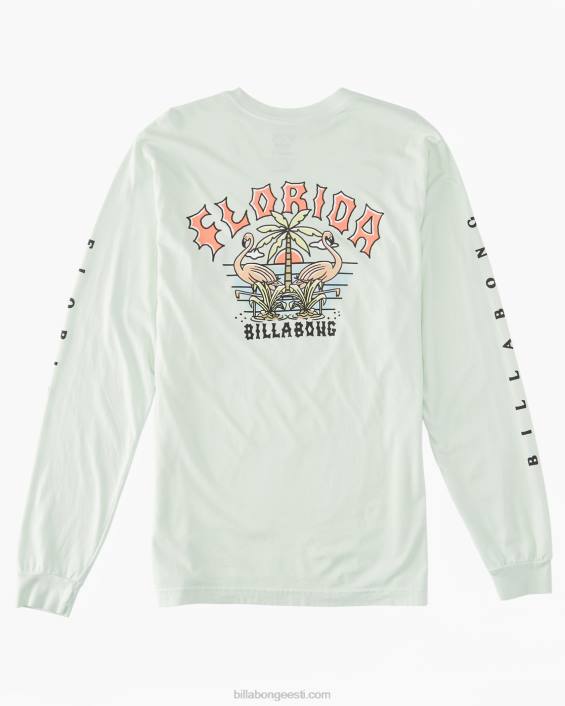 flamingo kaarega t-särk mehed mereklaas D28T442 Billabong