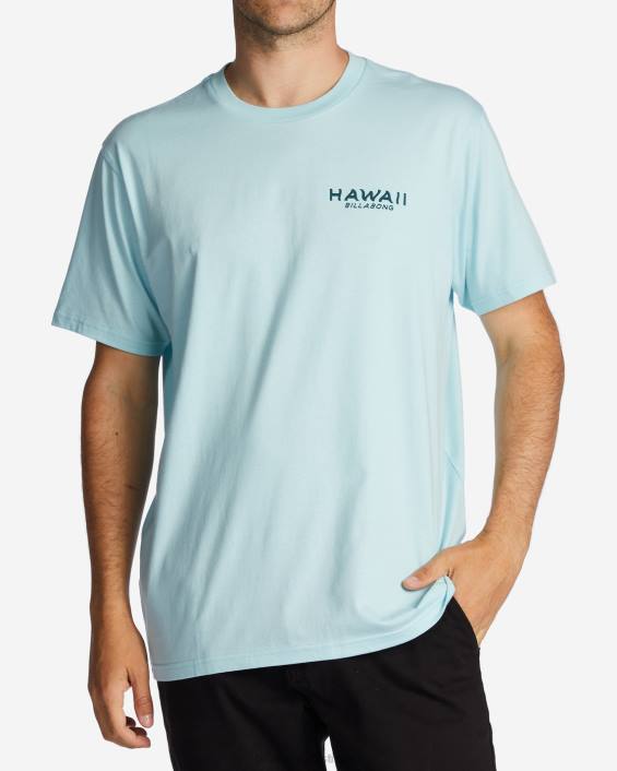 hawaii lookout t-särk mehed rannikuäärne D28T312 Billabong