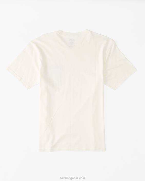 meeskonna tasku t-särk mehed valkjas D28T654 Billabong