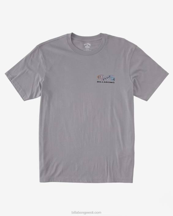 segmendi t-särk mehed hall violetne D28T353 Billabong