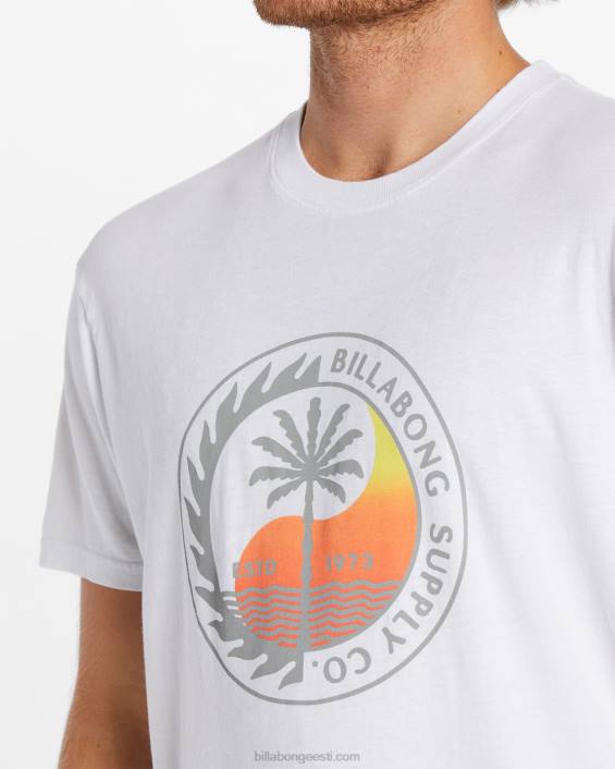 transpordi lühikeste varrukatega t-särk mehed valge D28T532 Billabong