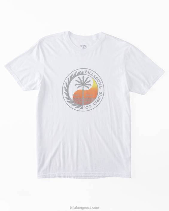 transpordi lühikeste varrukatega t-särk mehed valge D28T532 Billabong