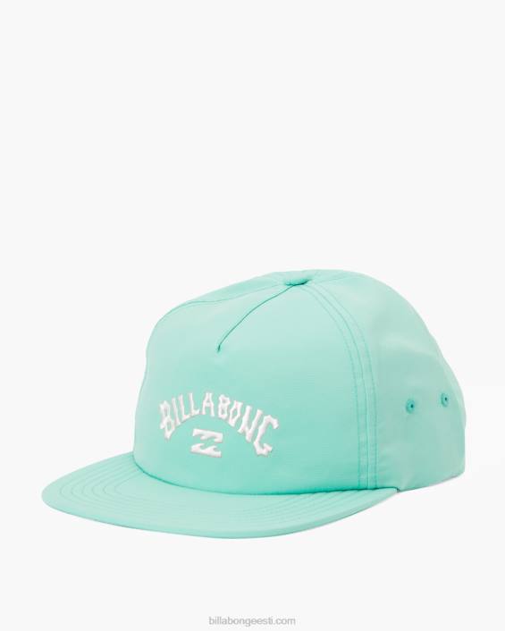 arch team strapback müts mehed piparmündine D28T678 Billabong