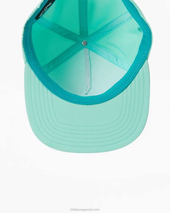 arch team strapback müts mehed piparmündine D28T678 Billabong
