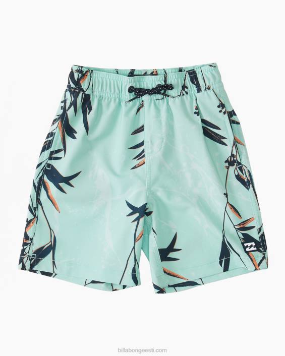 2-7 pühapäeva layback 13'' boardshorts poisid piparmünt D28T160 Billabong