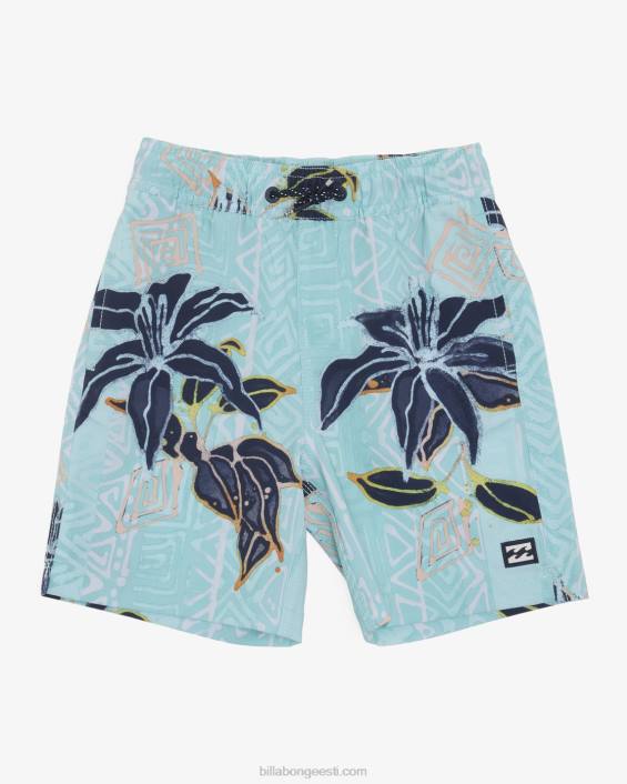 2-7 pühapäeva layback 13'' boardshorts poisid vaht D28T97 Billabong