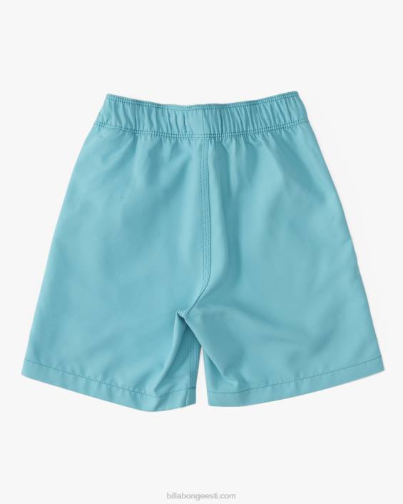 2-7 terve päeva layback 13'' lauapüksid poisid tume piparmünt D28T61 Billabong