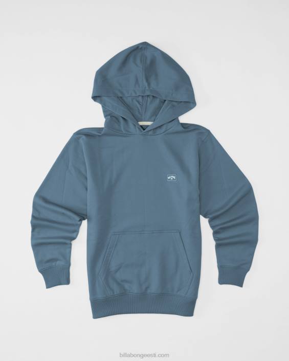 kogu päeva orgaaniline pullover hoodie poisid suitsusinine D28T1076 Billabong