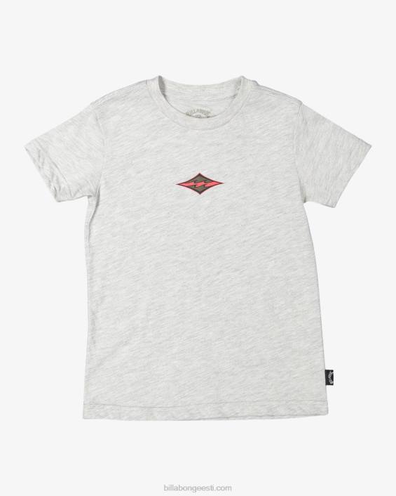 (2-7) gromsi teemantlaine lühikeste varrukatega T-särk poisid helehall kanarbik D28T1064 Billabong